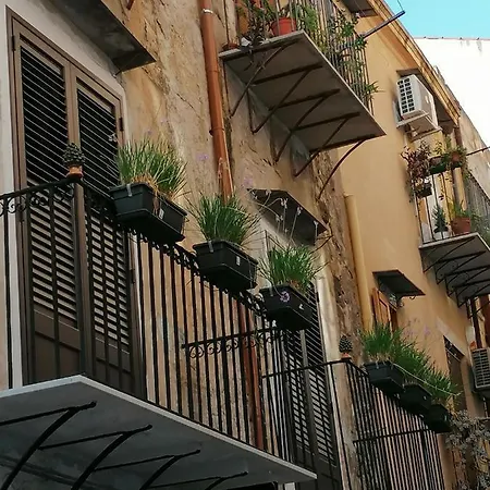 Kalbita Palermo